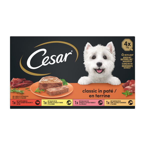 Zwijgend Eerder Levering Cesar hondenvoer nat Classic selections - Hondenvoer en -benodigdheden  online bestellen? | Coop.nl | Coop